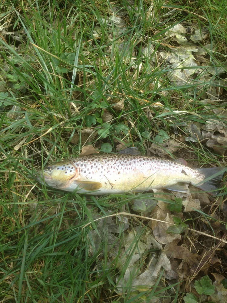 Journée ouverture Journée ouverture