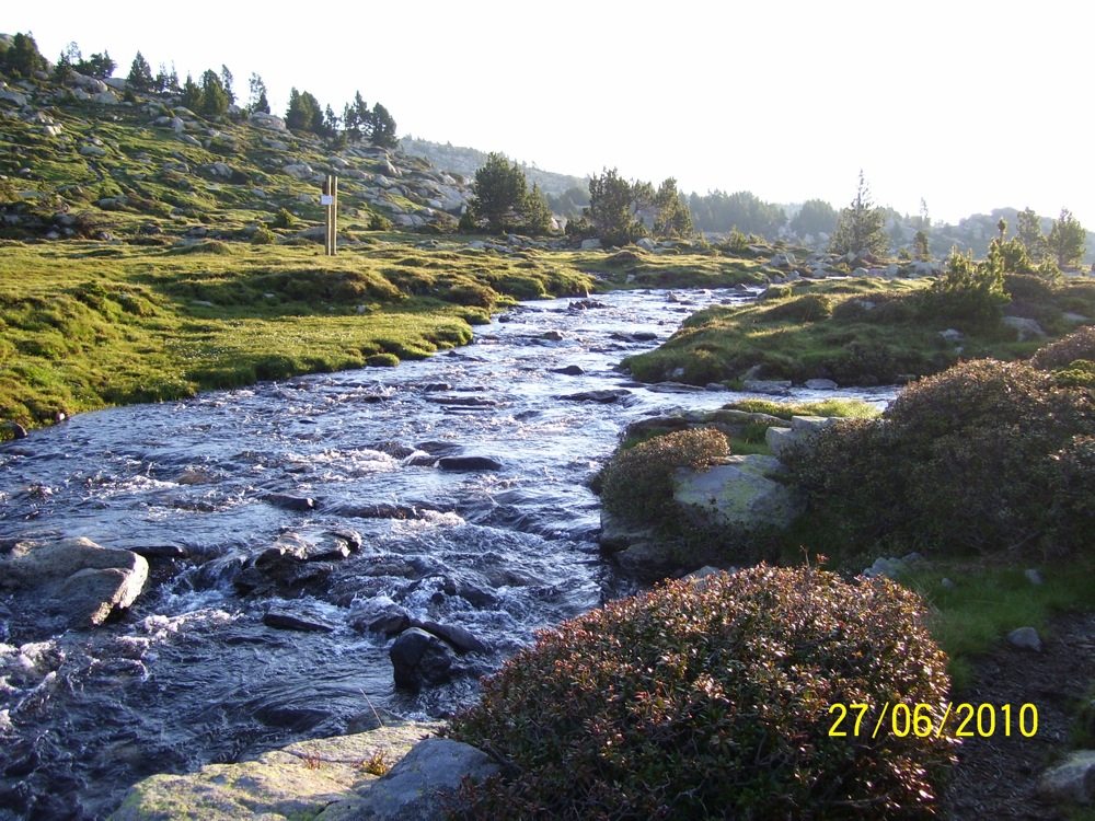 100_3310.jpg 100_3310.jpg