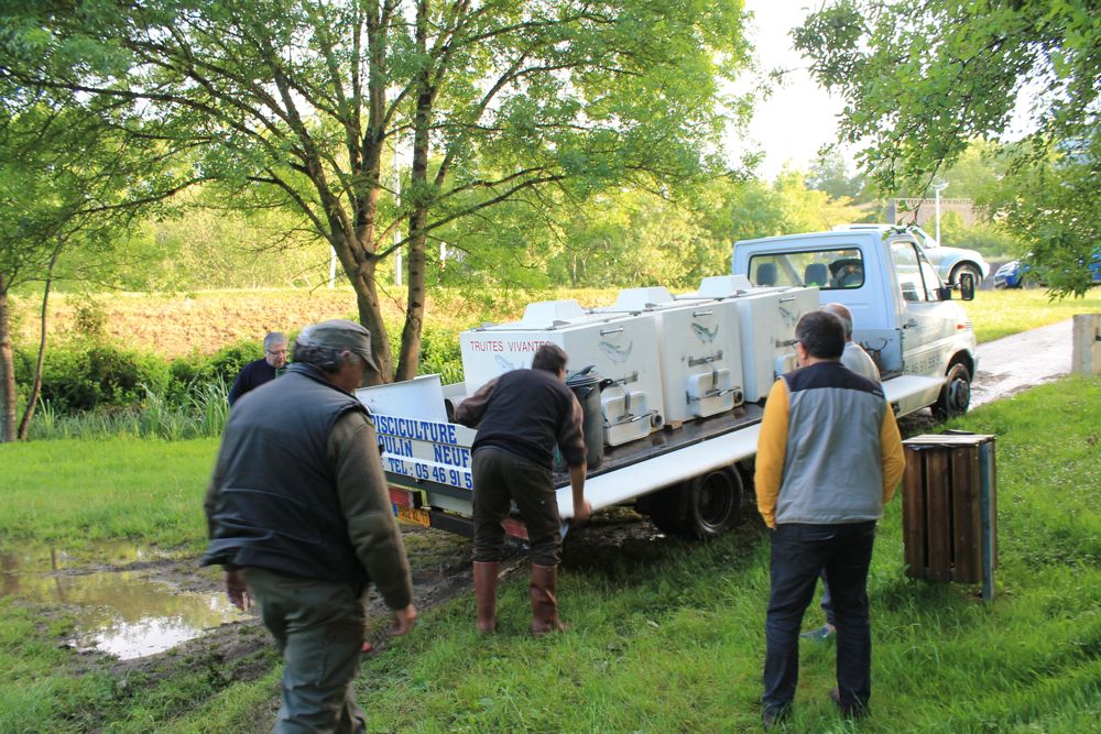 IMG_0405.jpg IMG_0405.jpg