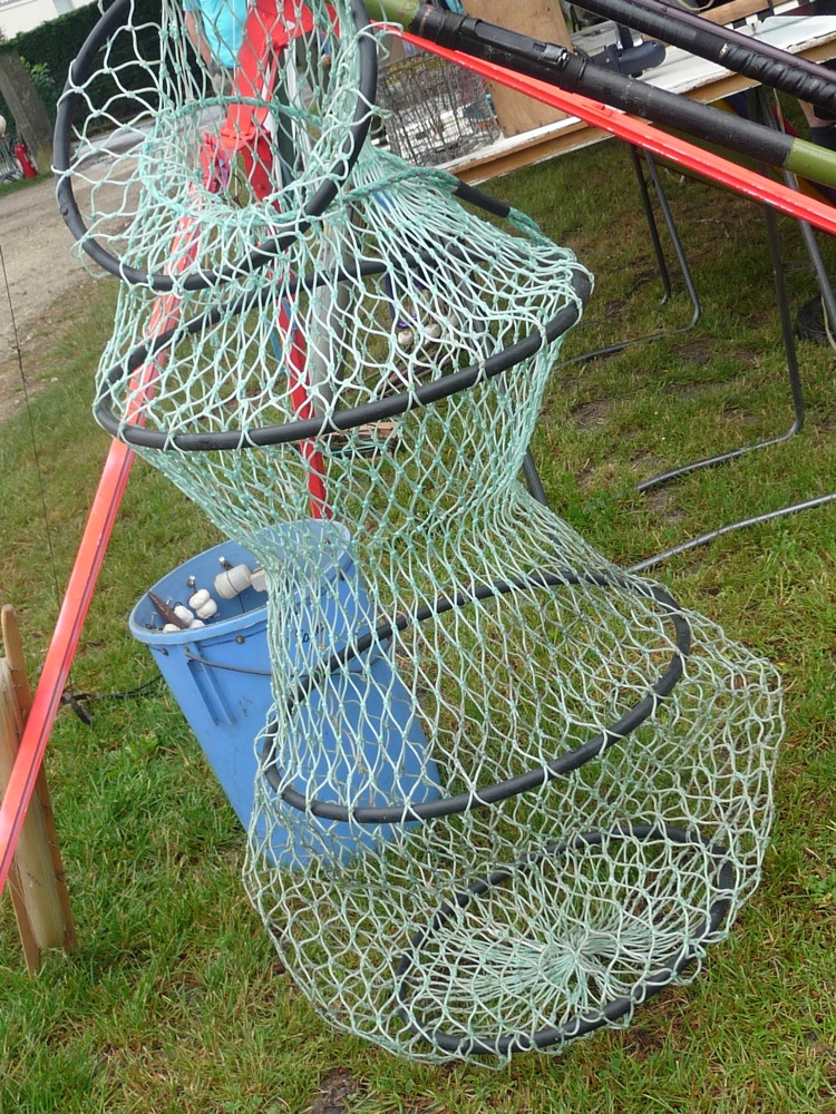 festipeche8.jpg