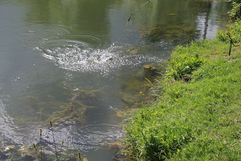 IMG_0422.jpg IMG_0422.jpg