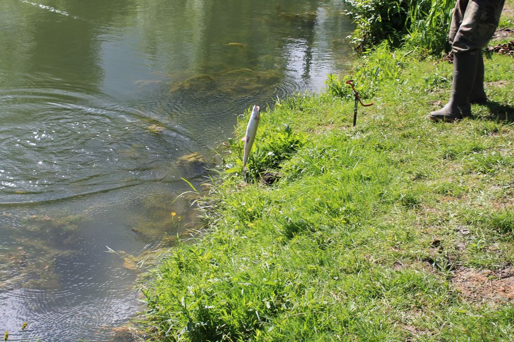 IMG_0423.jpg IMG_0423.jpg