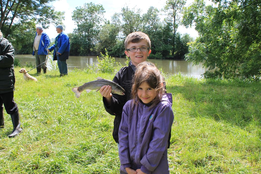 IMG_0445.jpg IMG_0445.jpg