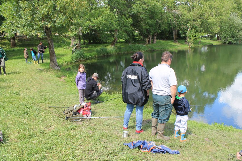 IMG_0477.jpg IMG_0477.jpg