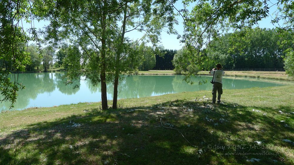 Redim P1210363-r.jpg