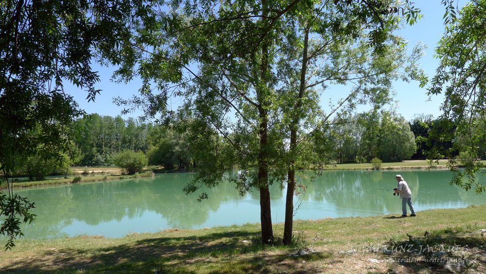 Redim P1210439.jpg Redim P1210439.jpg