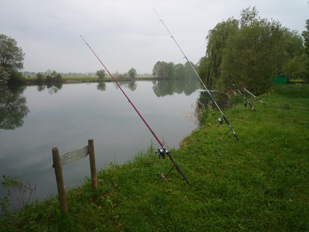P1040290.jpg