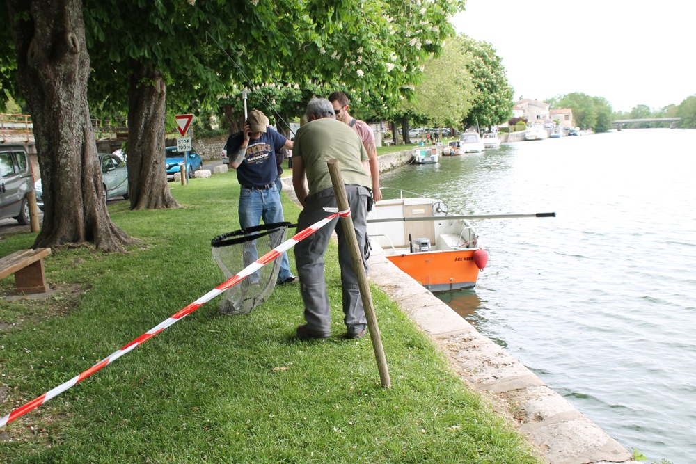 IMG_2074.jpg IMG_2074.jpg