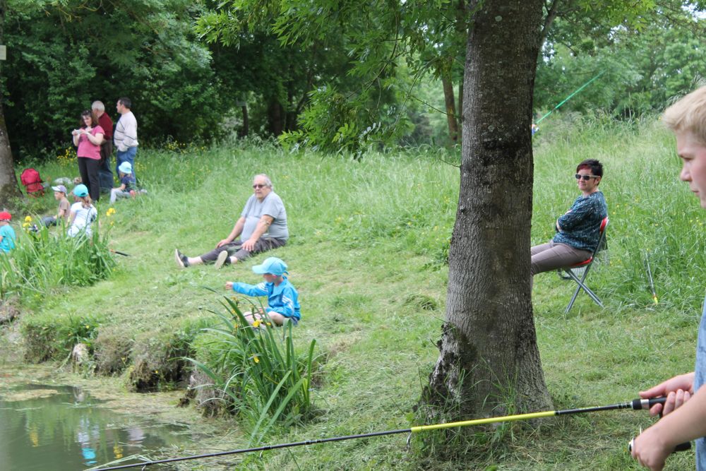 IMG_2174.jpg IMG_2174.jpg