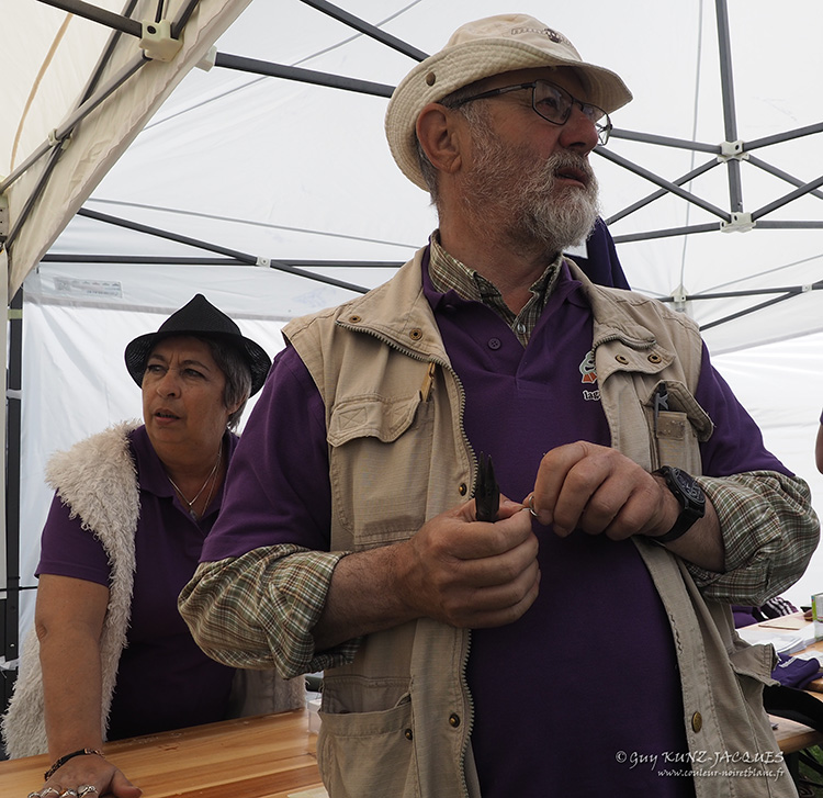 rEDIM 750 P5145086-R.jpg