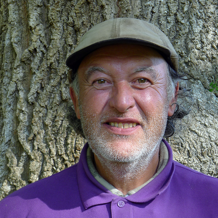 Redim 750 P1290338-r2.jpg