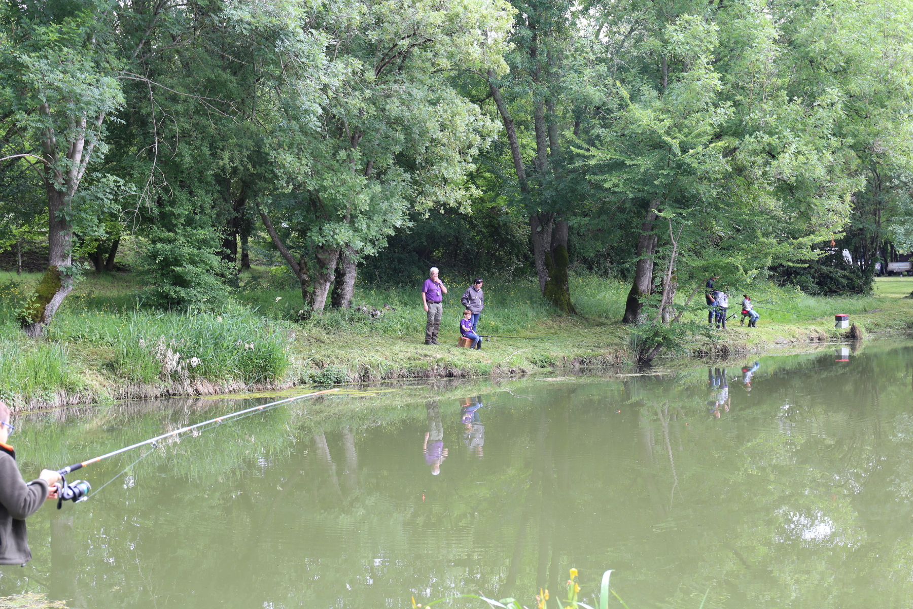 IMG_1282.JPG IMG_1282.JPG