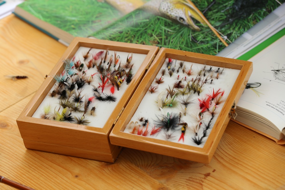 IMG_1345.jpg IMG_1345.jpg