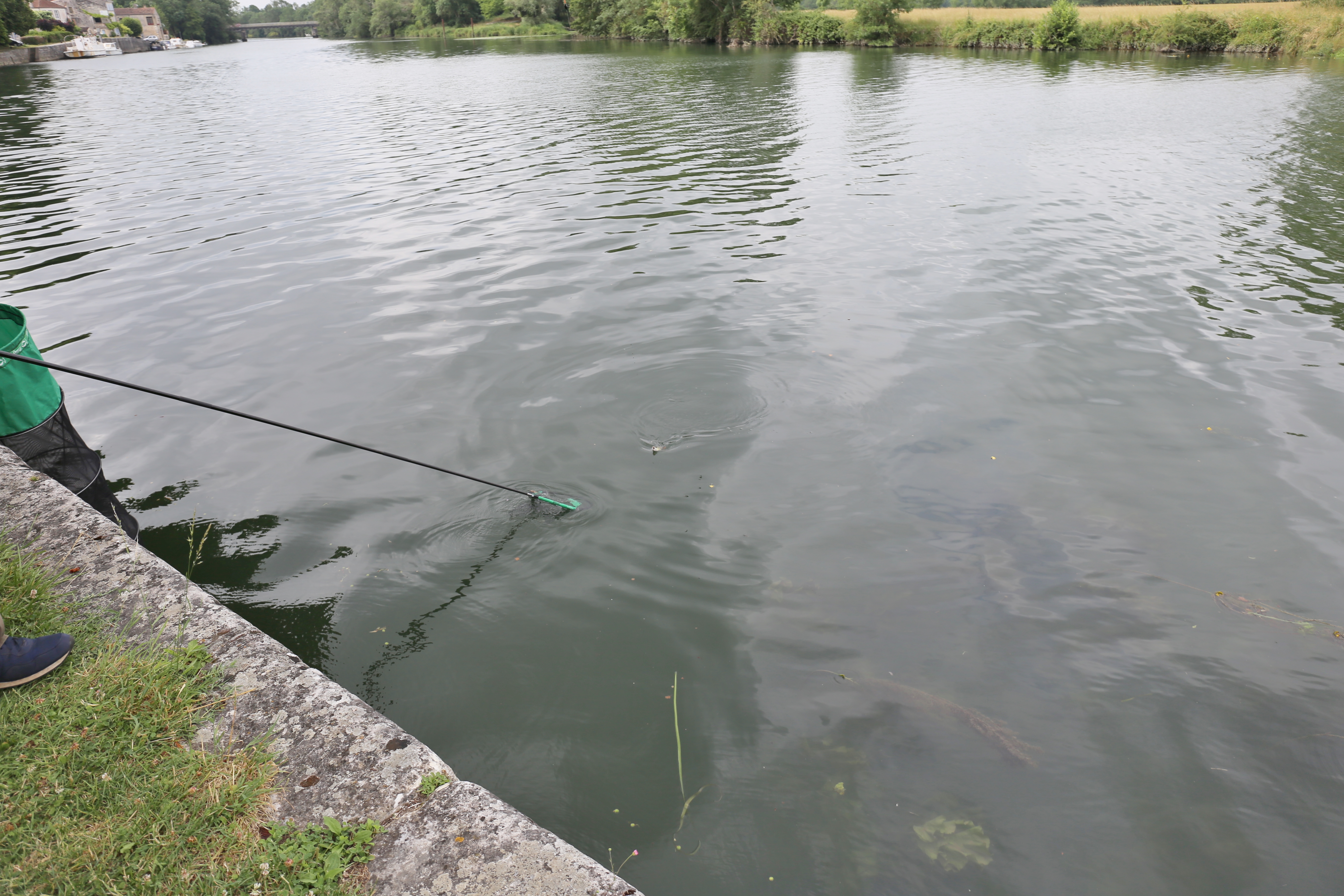 IMG_2457.jpeg IMG_2457.jpeg