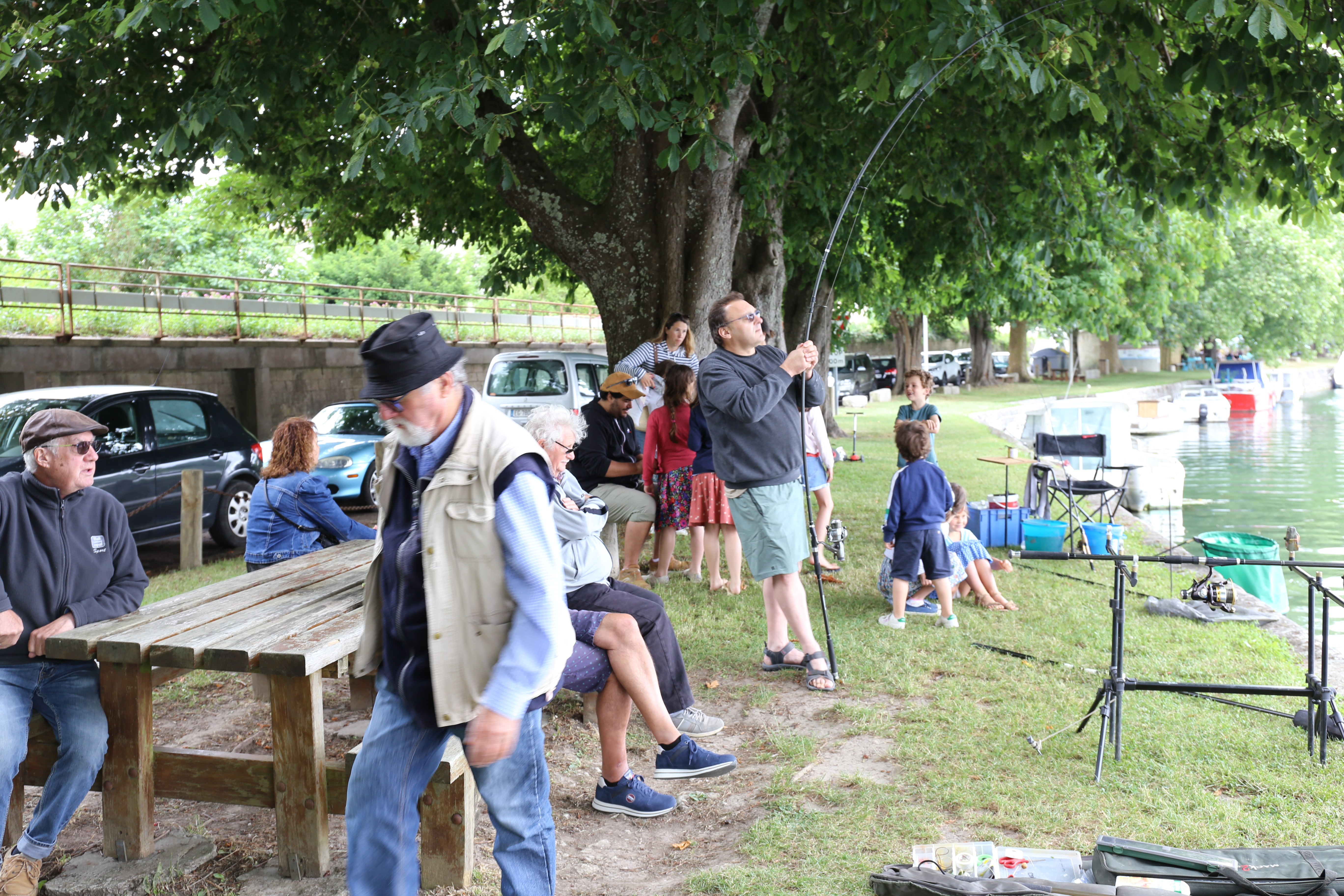 IMG_2487.jpeg IMG_2487.jpeg