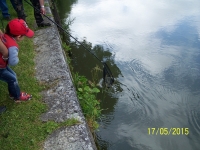100_7956.jpg